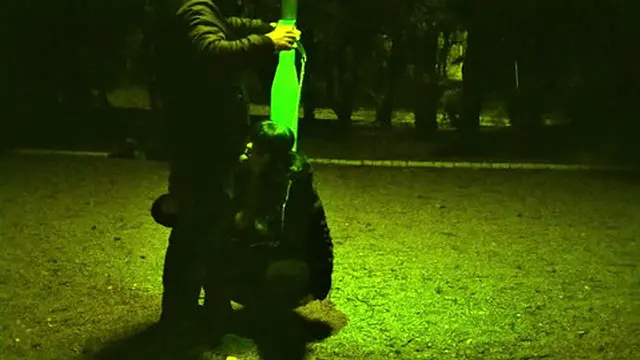 she tied me down like a pet as cars zoomed by &mdash;  anyone could crash into us    priceless 