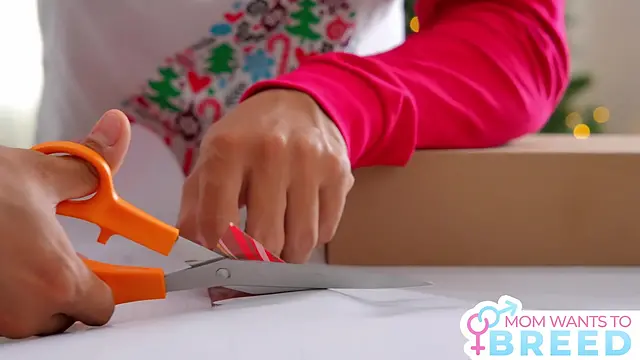 Anissa Kate, the beautiful MILF, gets a surprise package from Santa.